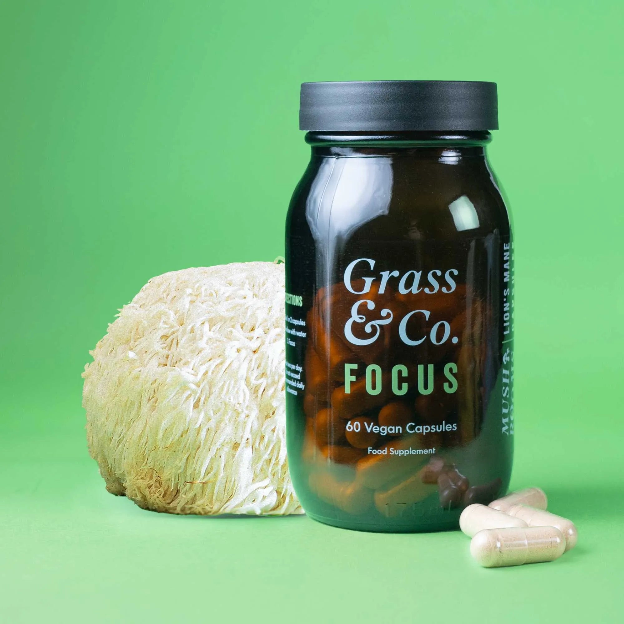 FOCUS | Lion's Mane Mushroom Capsules