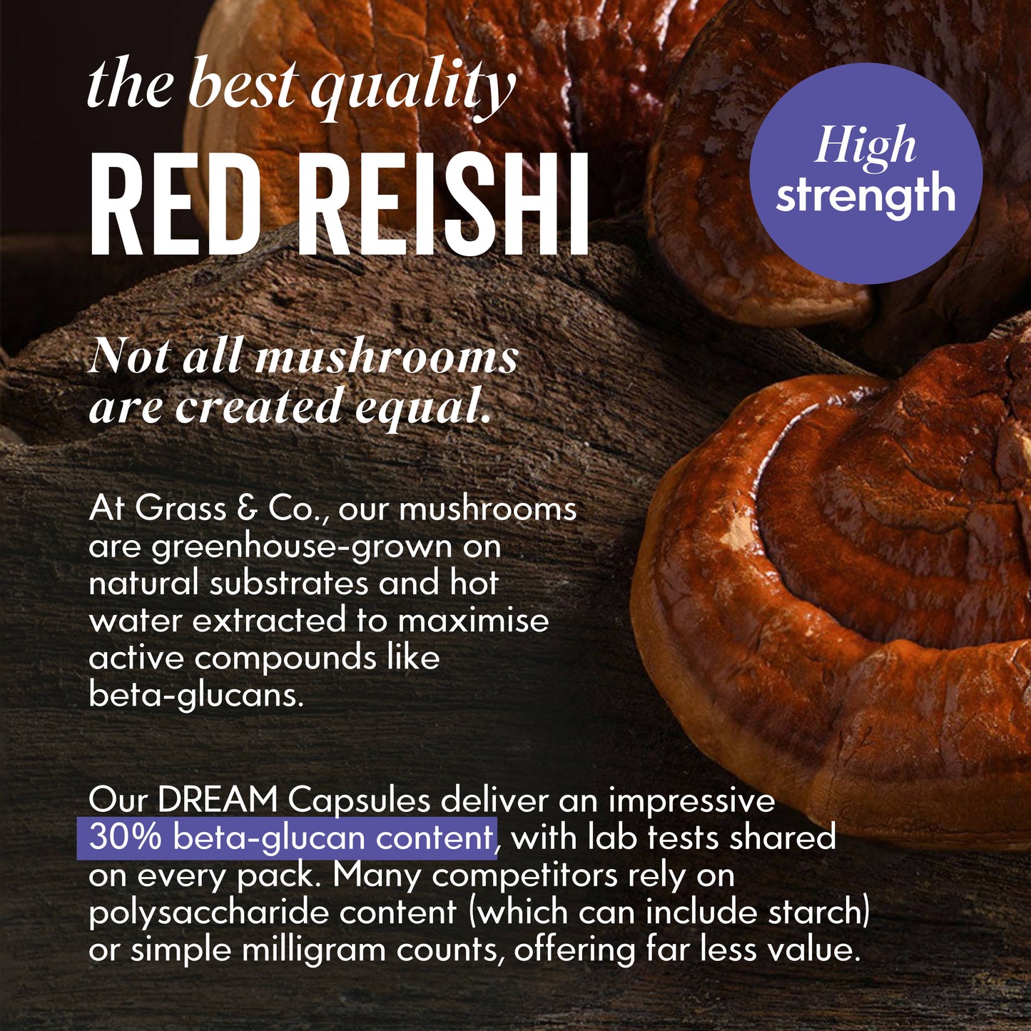 DREAM Reishi-Vitalpilz-kapseln