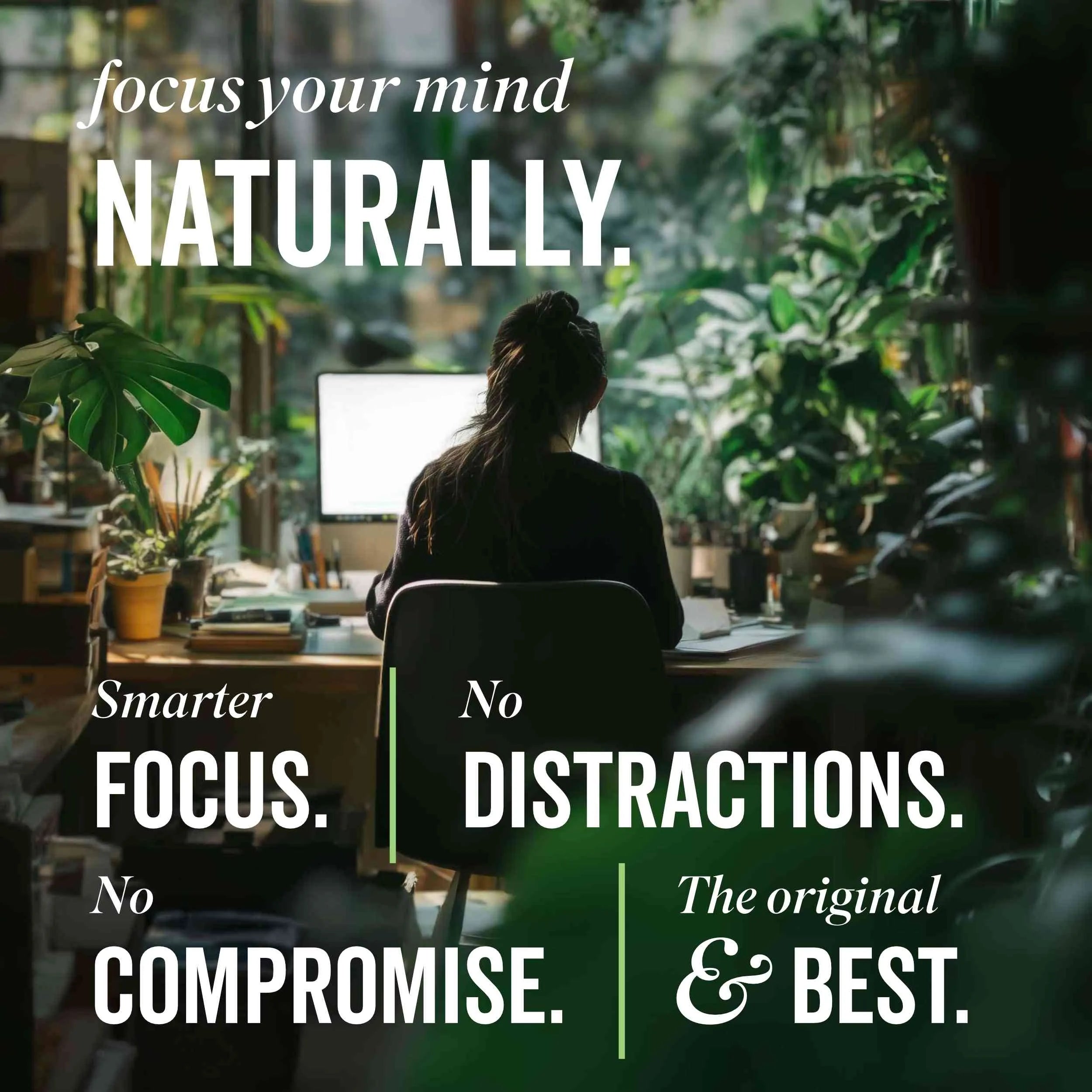 FOCUS | Lion's Mane Mushroom Capsules