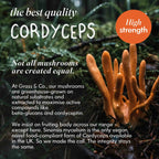 ENERGY | Cordyceps Mushroom Capsules