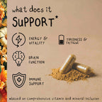 ENERGY | Cordyceps Mushroom Capsules