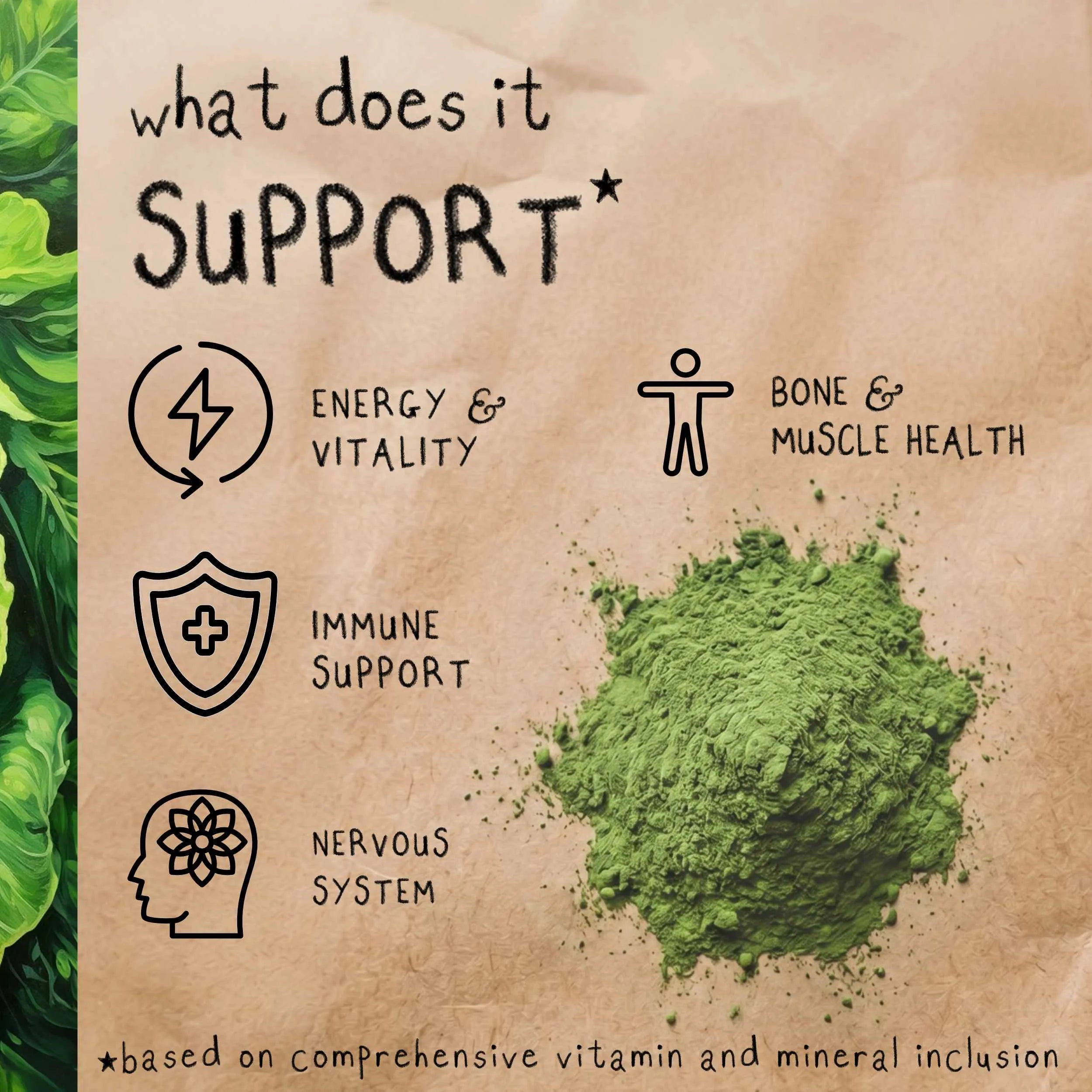 The Spring Essentials -Web Exclusive