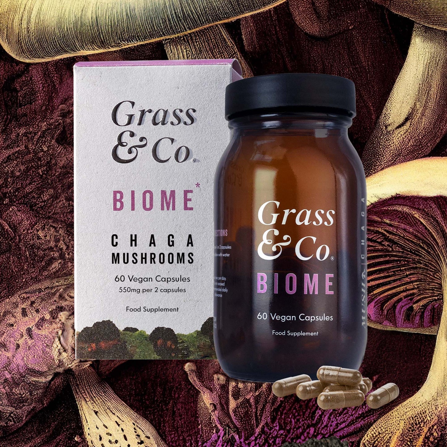 BIOME Chaga-Vitalpilz-kapseln