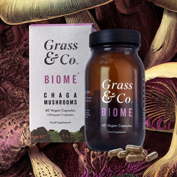 BIOME | Chaga Mushroom Capsules