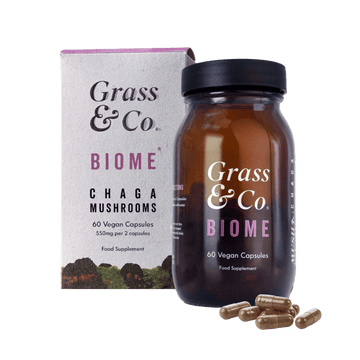 BIOME | Chaga Mushroom Capsules