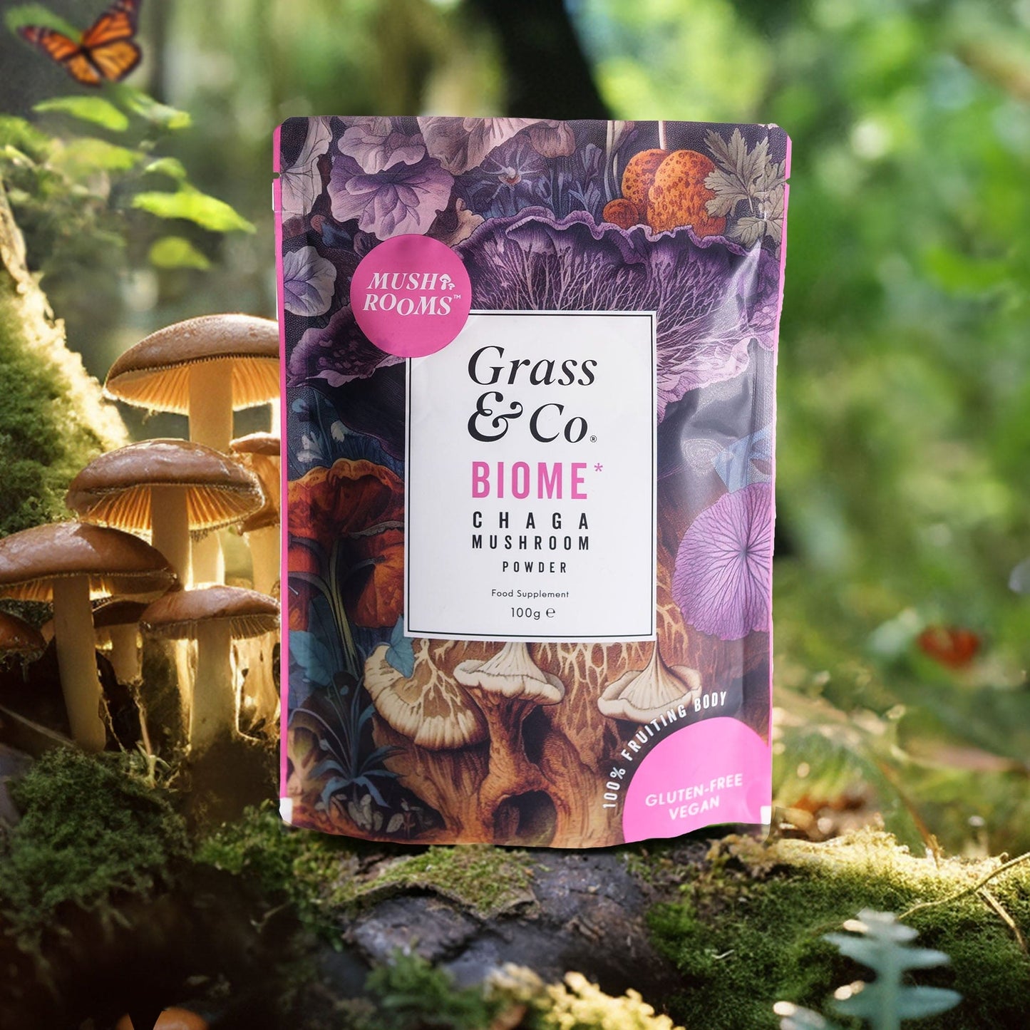 BIOME | Chaga-Pilzpulver