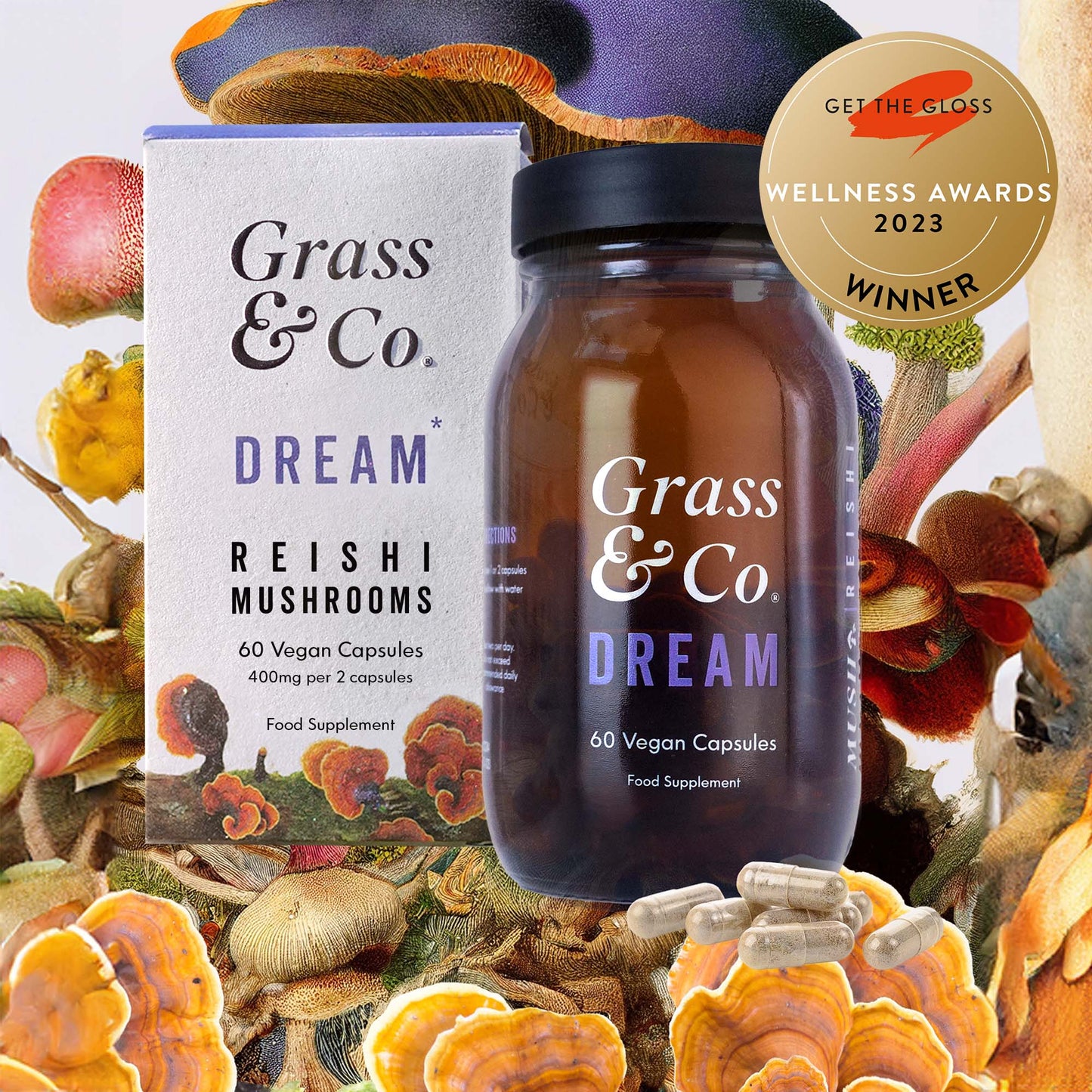 DREAM | Reishi Mushroom Capsules