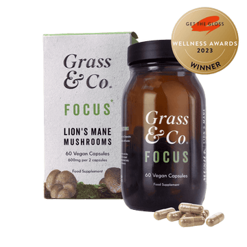 FOCUS | Lion's Mane Mushroom Capsules