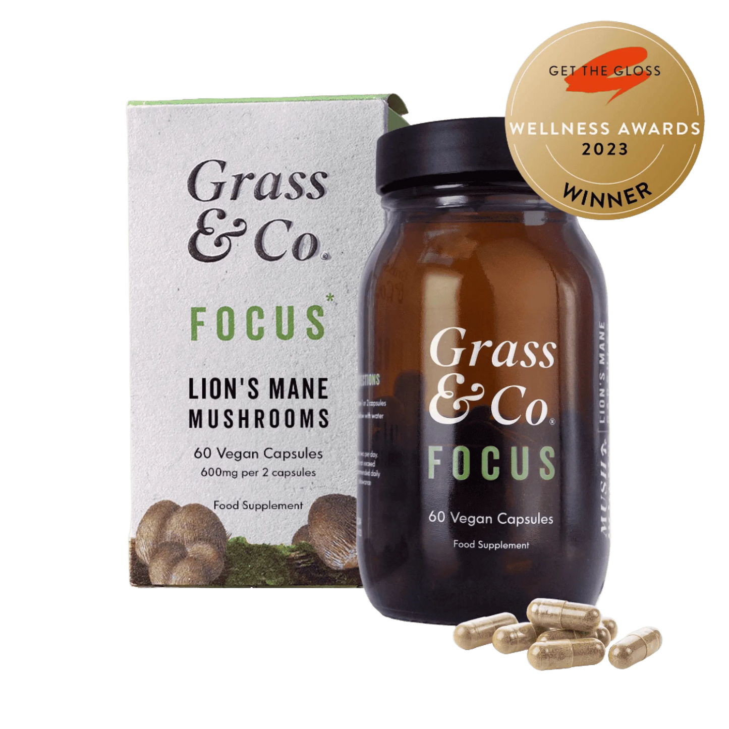 FOCUS | Lion's Mane Mushroom Capsules