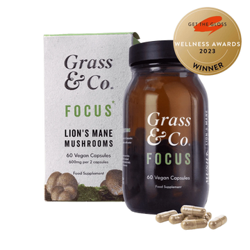 FOCUS | Lion's Mane Mushroom Capsules