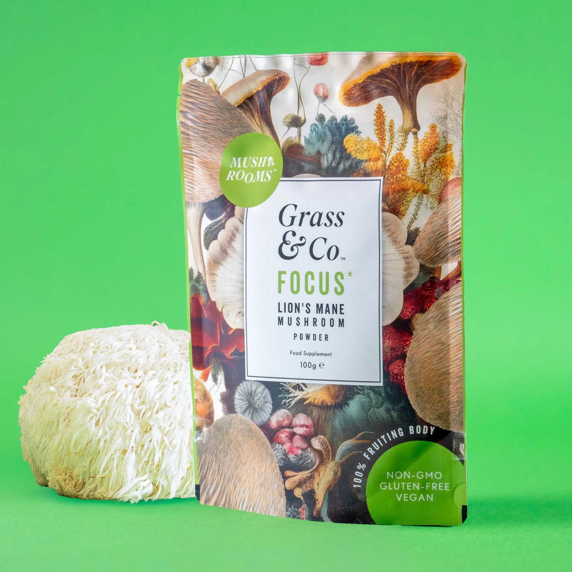 FOCUS | Lion's Mane Mushroom Powder