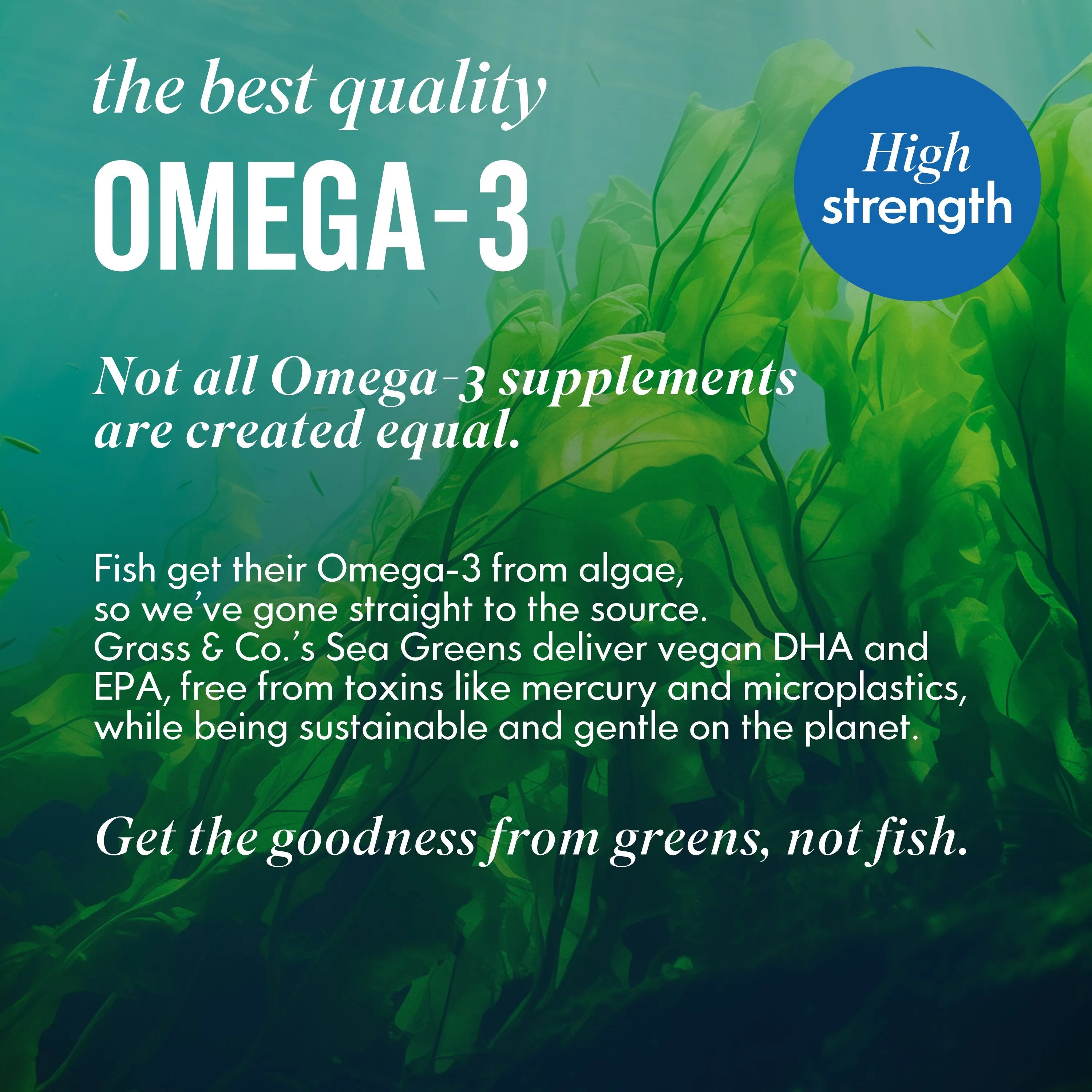 Seaweed Image with Omega 3 Benefits  