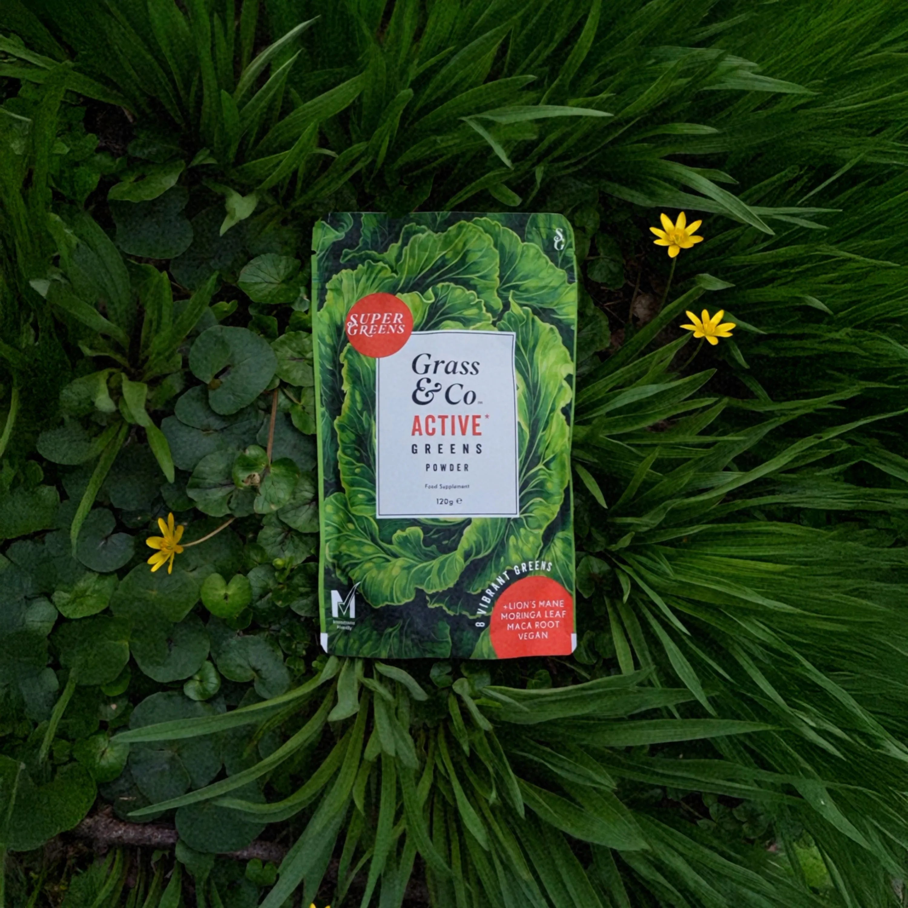 The Spring Essentials -Web Exclusive