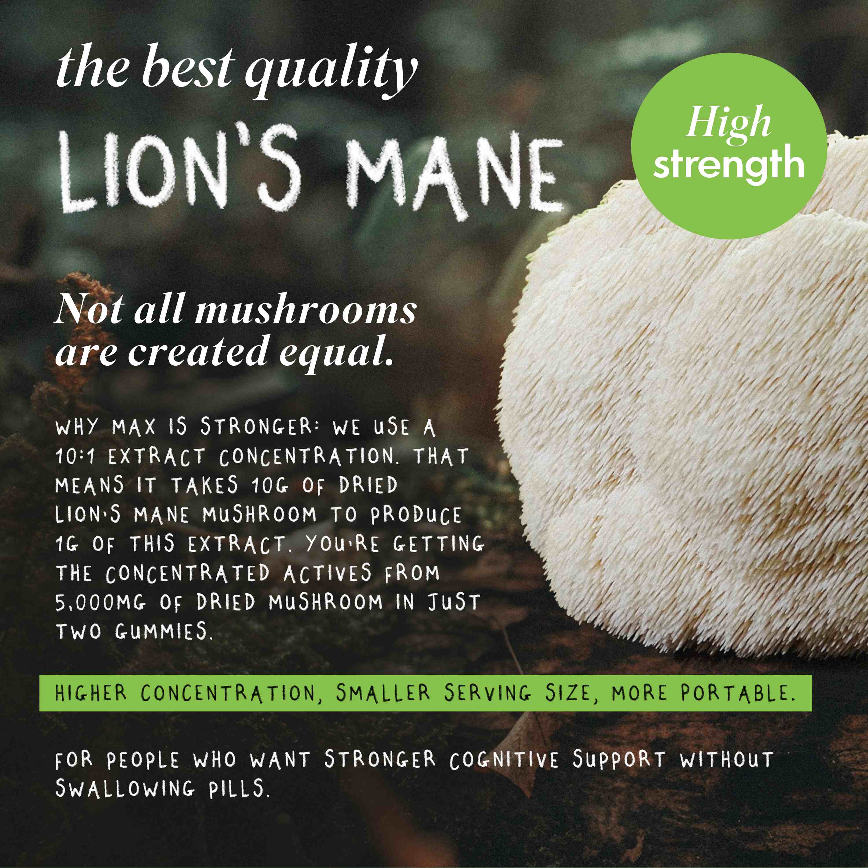 FOCUS MAX | Lion's Mane Mushroom Gummies