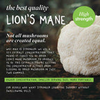 FOCUS MAX | Lion's Mane Mushroom Gummies