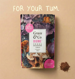 BIOME | Chaga-Pilzpulver