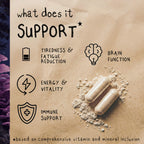DREAM | Reishi Mushroom Capsules