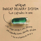 The Flow State Bundle