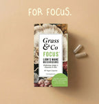 FOCUS | Lion's Mane Mushroom Capsules