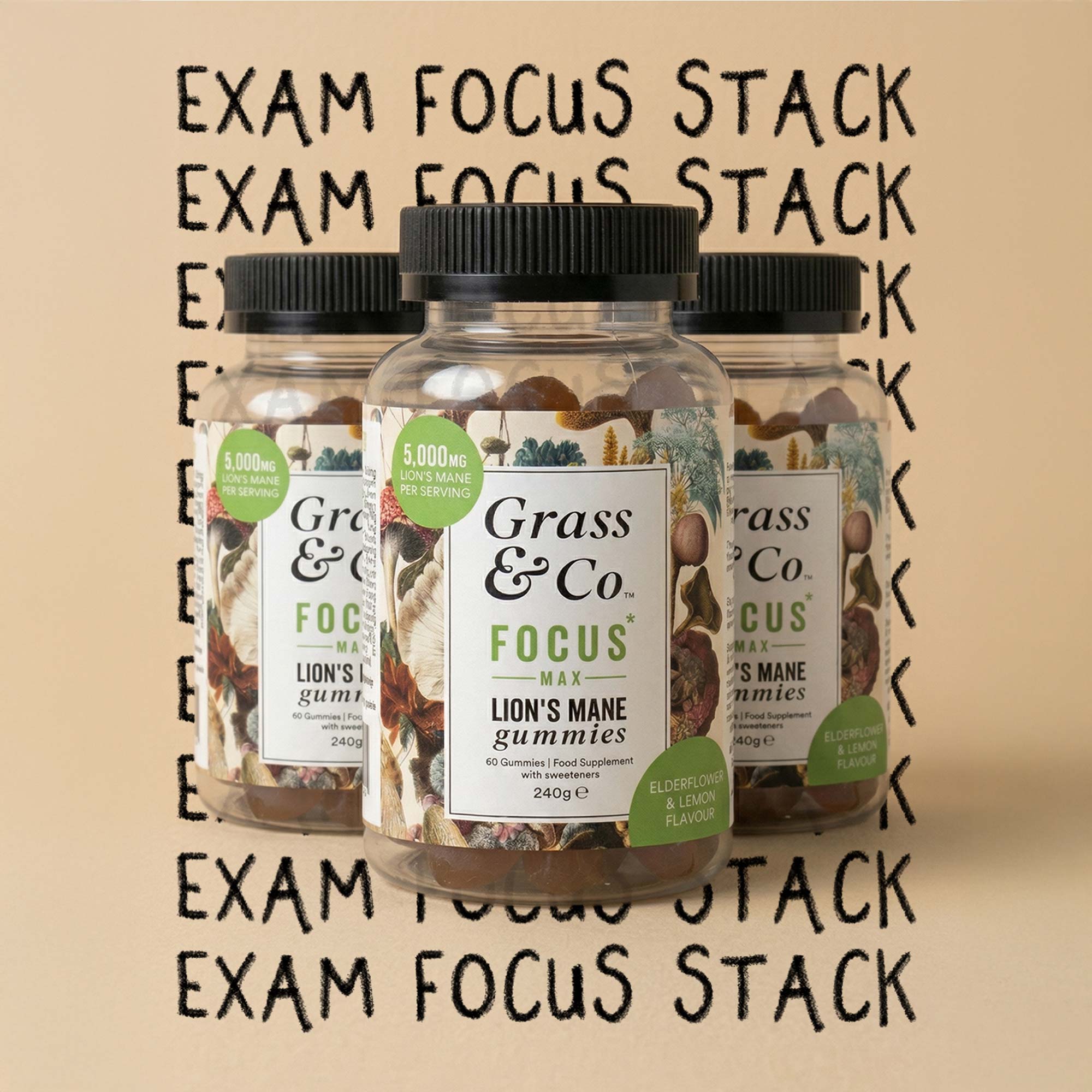 Exam Focus Stack
