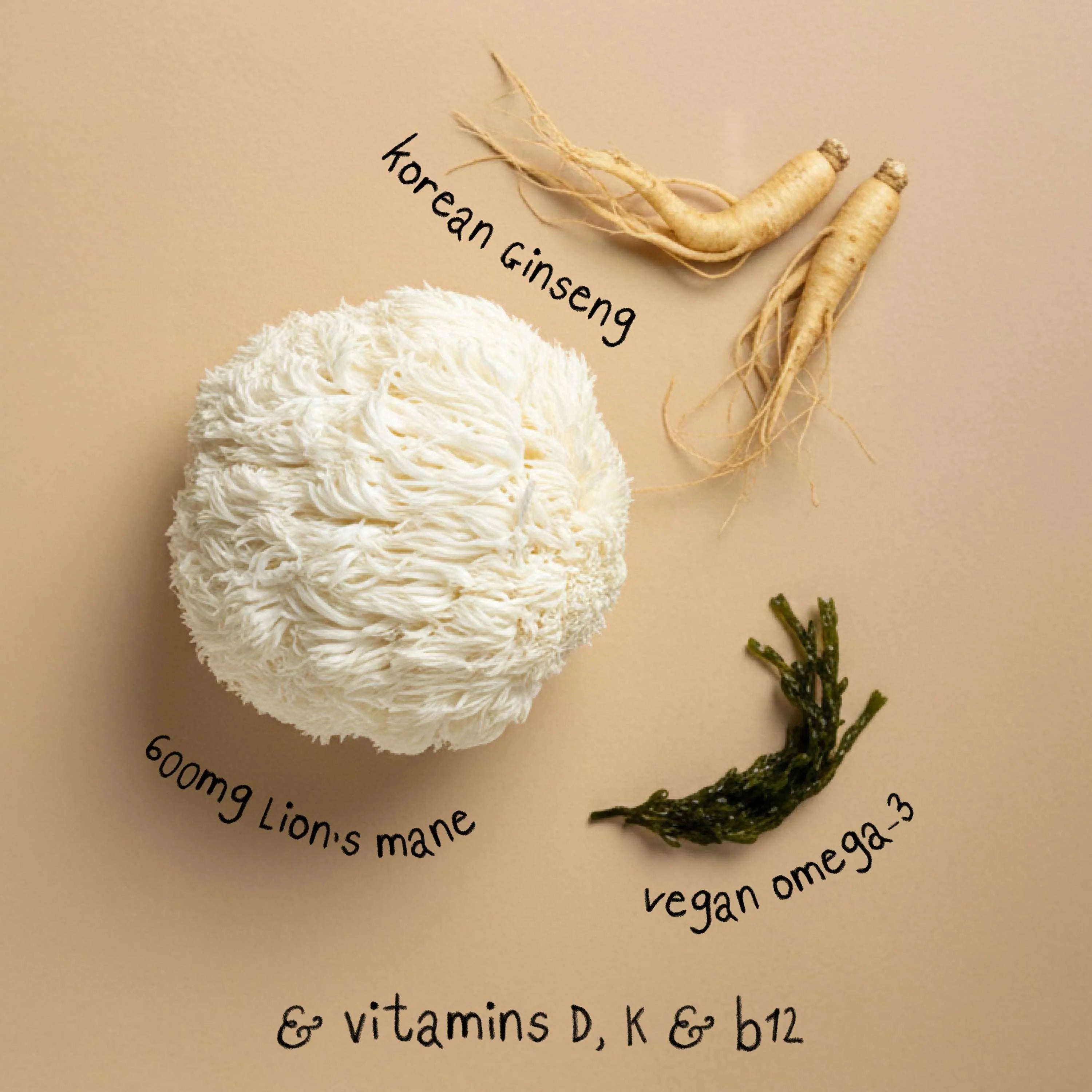 FOCUS | Lion's Mane Mushroom Capsules