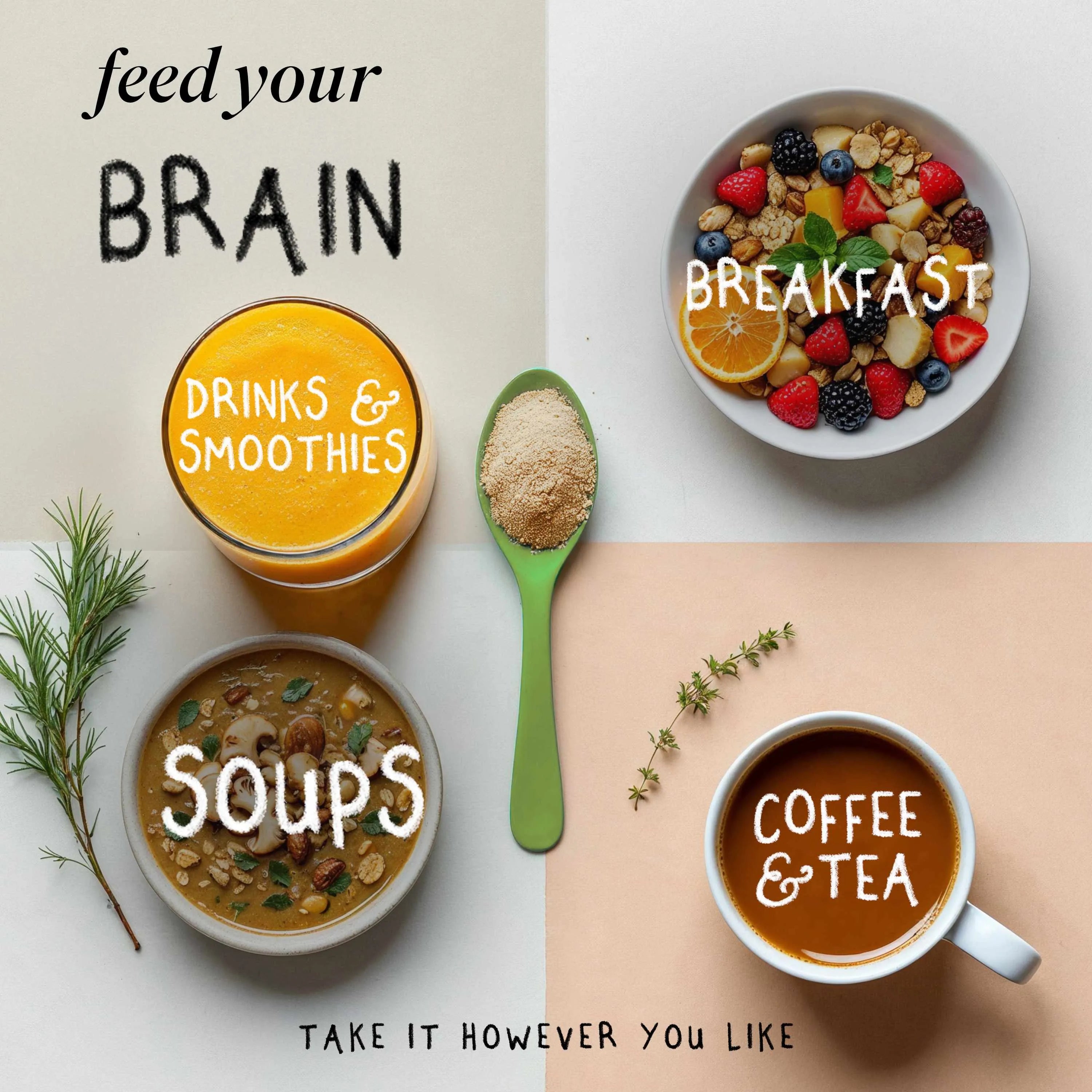 FOCUS | Lion's Mane Mushroom Powder