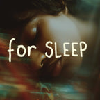 DREAM | Reishi Mushroom Capsules