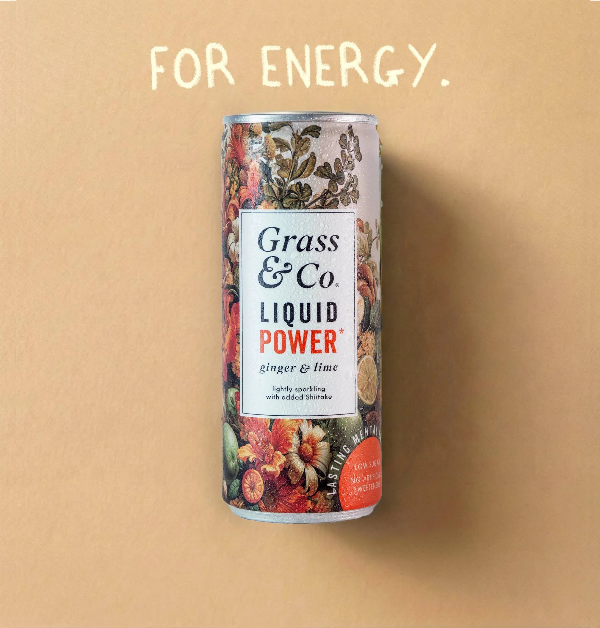 POWER Getränk | 4 x 250ml