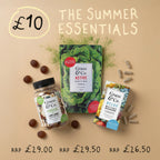 The Summer Essentials -Web Exclusive