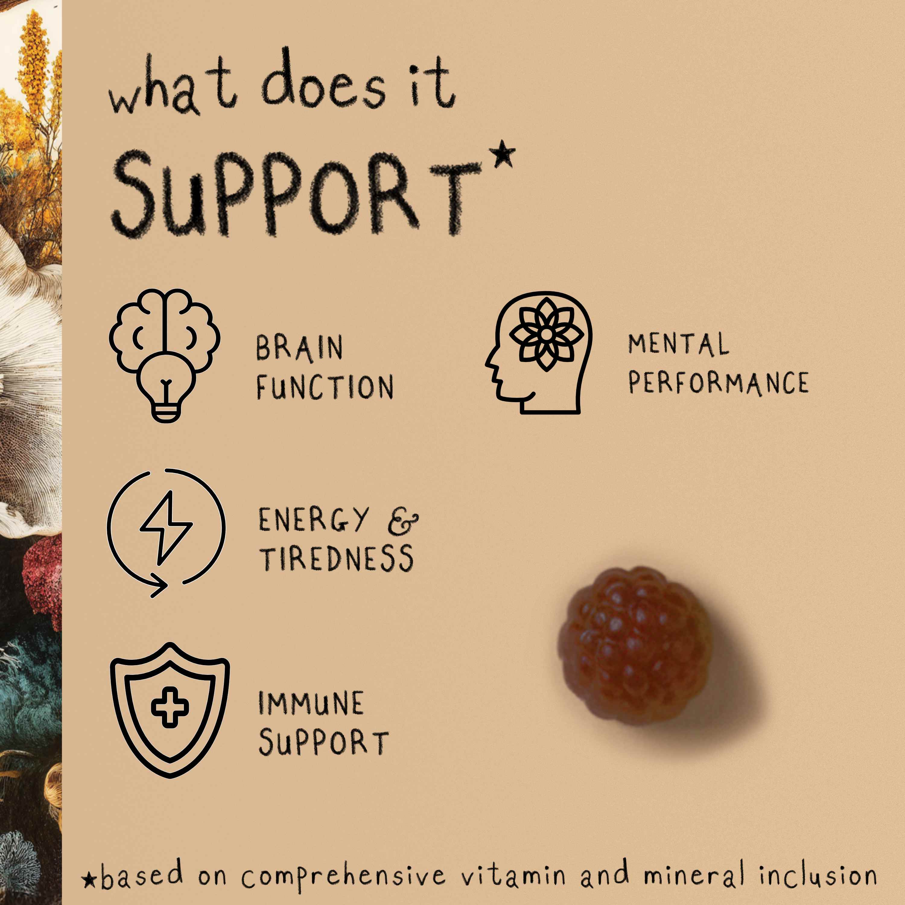 FOCUS MAX | Lion's Mane Mushroom Gummies