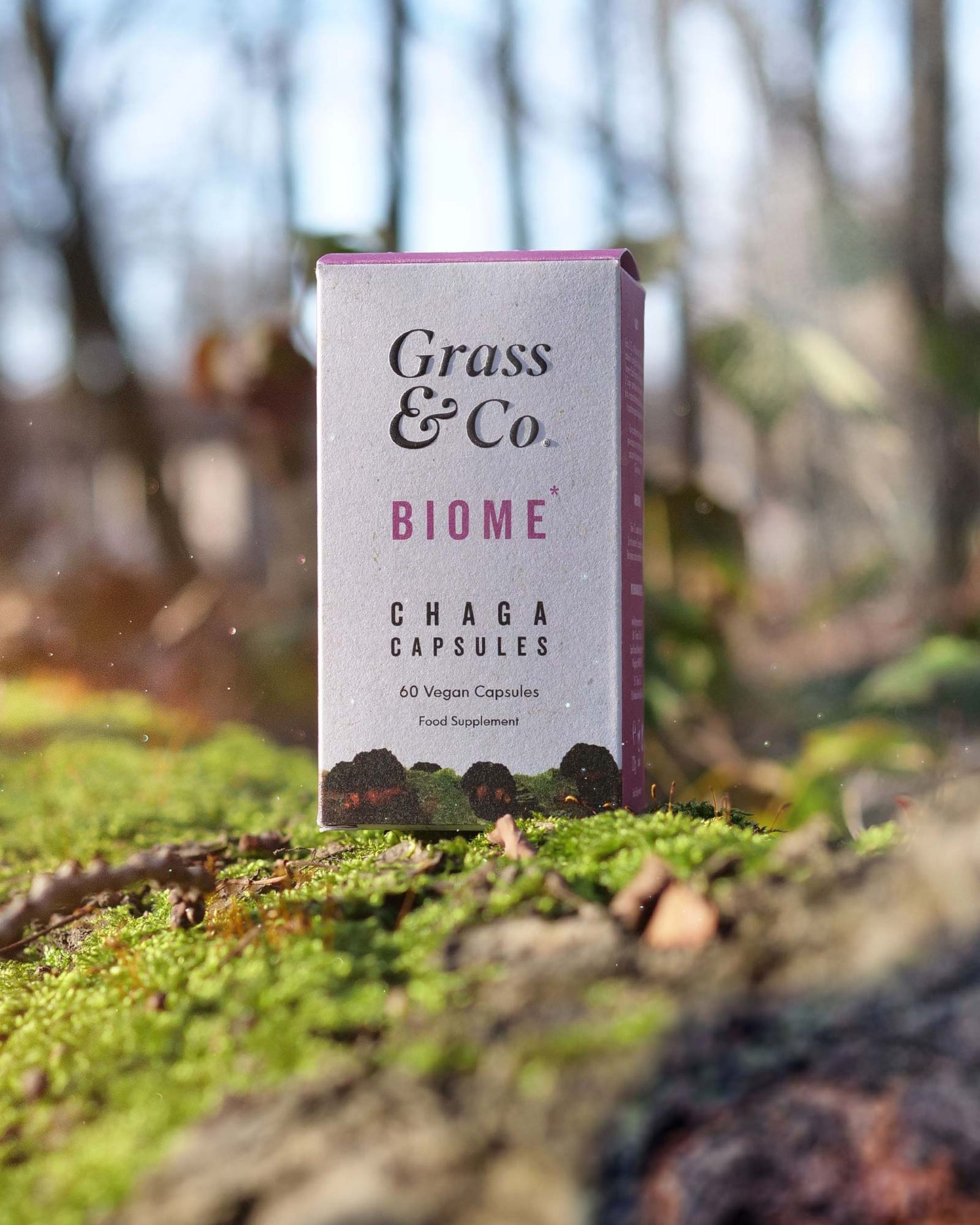 BIOME | Chaga Mushroom Capsules