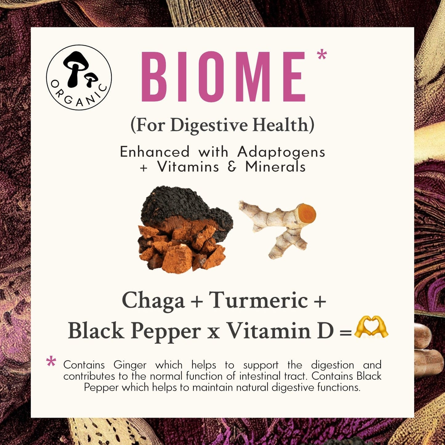 BIOME | Chaga Mushroom Capsules