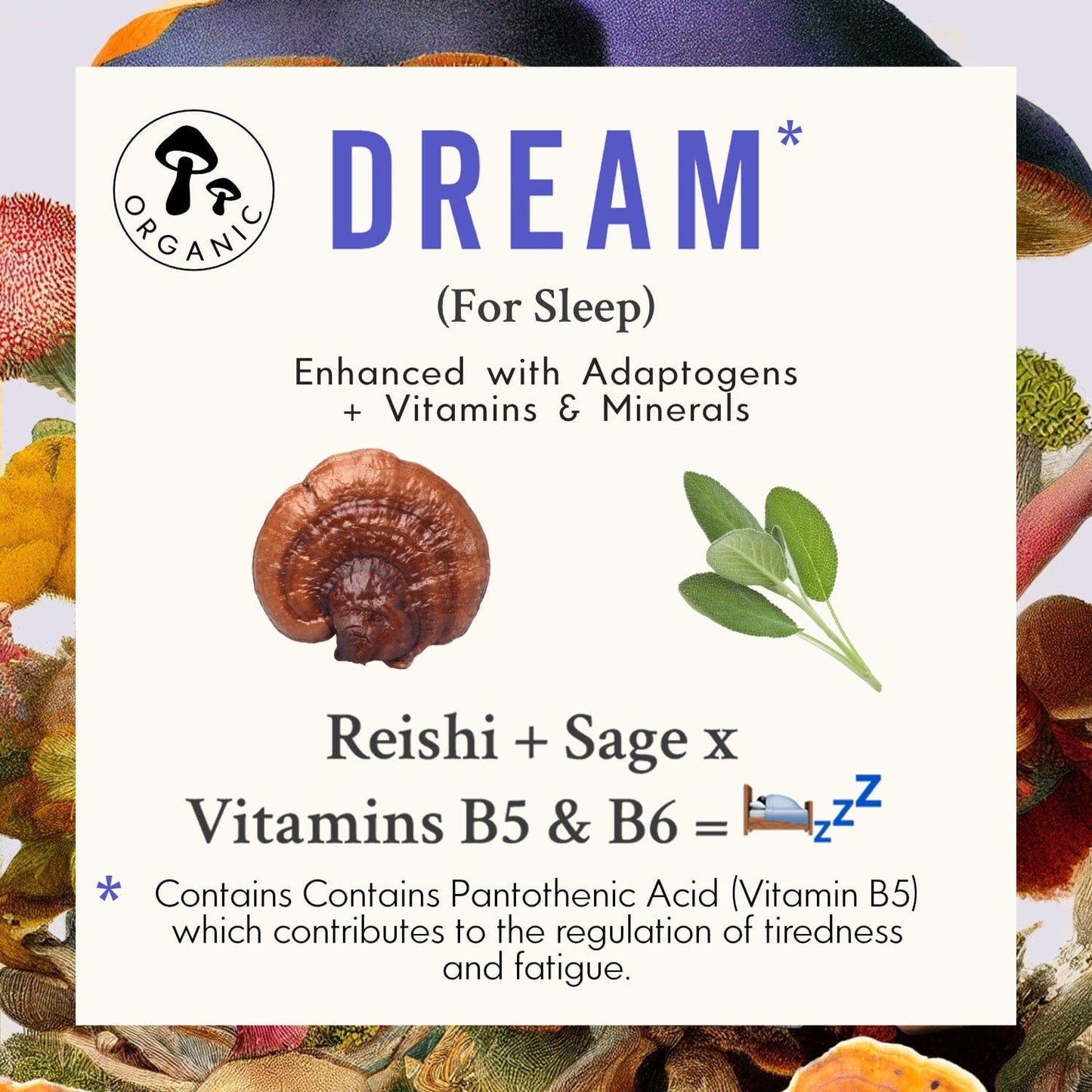 DREAM Reishi-Vitalpilz-kapseln