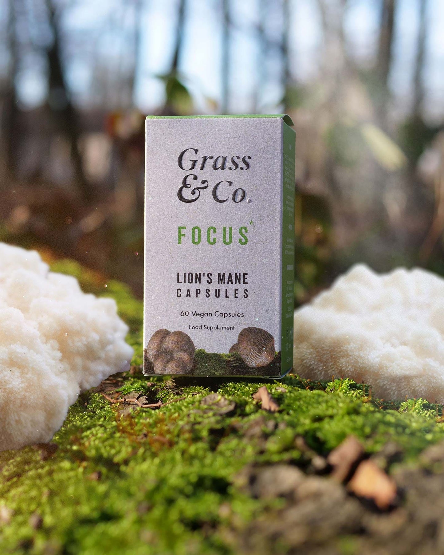 FOCUS | Lion's Mane Mushroom Capsules