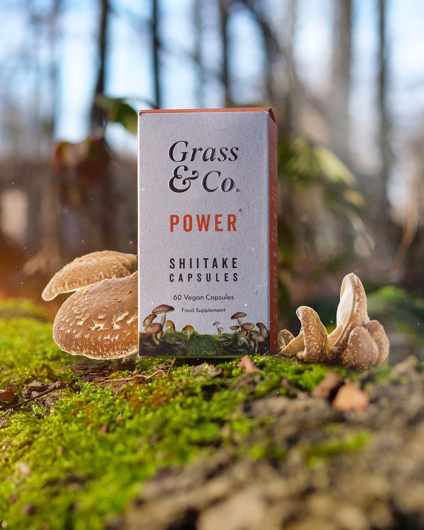 POWER | Shiitake Mushroom Capsules