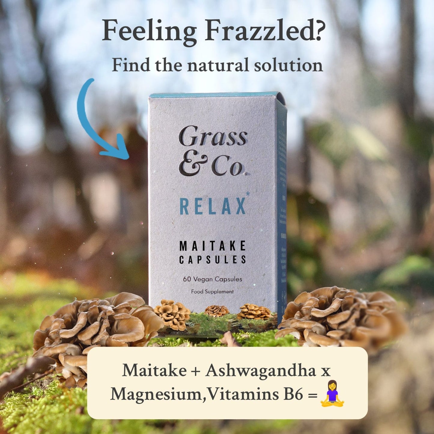 RELAX | Maitake Mushroom Capsules